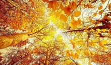 你是我深秋不愿放下的曾经_800字