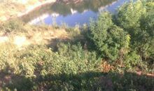 愿时光凝结_100字