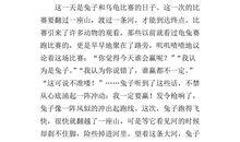 续写《龟兔赛跑》_400字