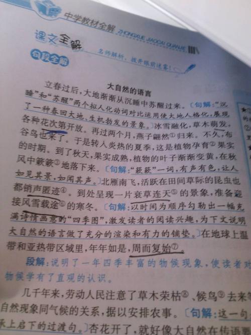 写“自然语言”_200字