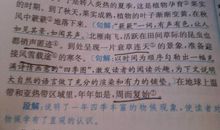 仿写《大自然的语言》_200字