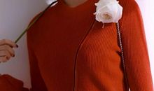 我又长大了一岁，你们又老了一岁_1000字