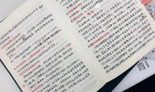 记一次劳动_100字