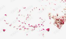 友情这样飘散_650字