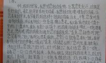 一年级书信：写给爸爸的一封信_300字