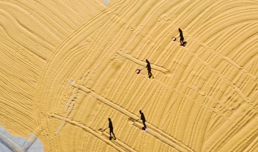 真诚的友谊_750字