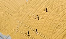 真诚的友谊_750字