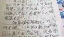 关于偶像的作文：我的偶像妈妈_700字