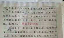 [PK赛]关于偶像的作文：我要超越他_600字