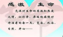 生命的美丽_800字
