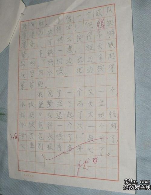 暑假不是家庭作业，酷！_300字