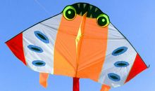 风筝捣蛋记_500字