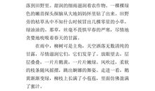 关于雨的作文：走过故乡的春雨_450字