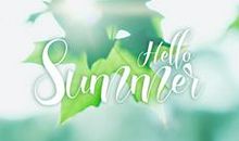 夏天好段好句：夏日的绿_600字