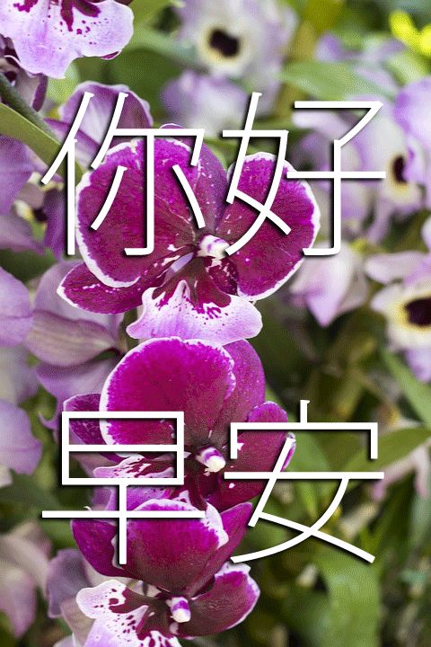 景观_700字