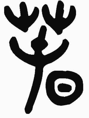 生命的真正含义_700字