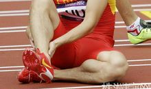 给刘翔哥哥的一封信_900字