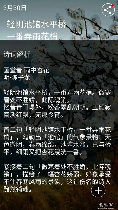 雨中的友谊_350字