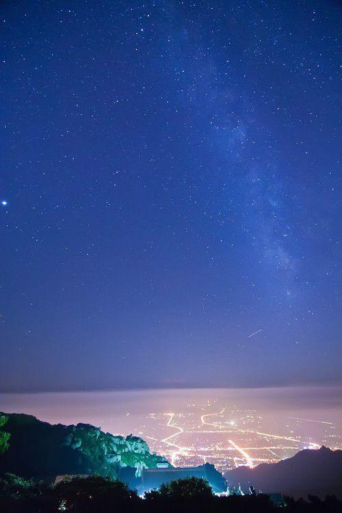 仰望夜空_450字