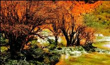 家乡的秋天_400字