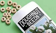 过早的“愚人节”_1500字