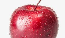 苹果——最好的水果_200字