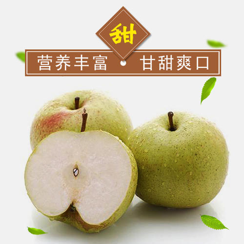 “海鲜” - 梨_150字