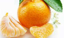 我喜欢的水果是桔子_400字