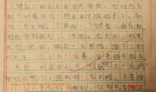 未来的水果_450字