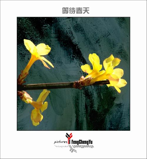 等待Spring _1000字