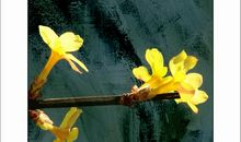 等待春天_1000字