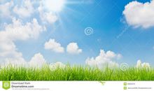 [寻找春天]春的气息_750字