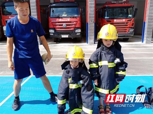 美丽，我从未孤单_550字