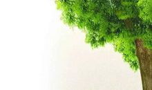 青春华年，我们不曾荒废_800字