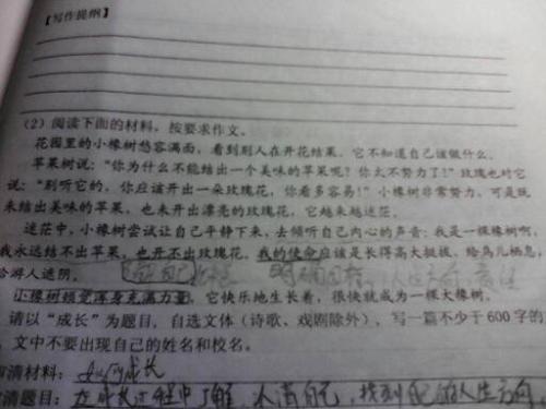 听雨_600字