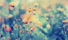 遥远的那份牵挂_550字