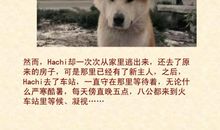 忠犬八公观后感_400字