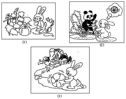 一年级的组成看图片：小白兔子被运输到南瓜_400字