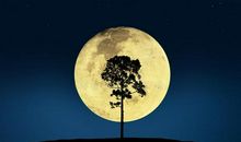 月亮的孤独_450字