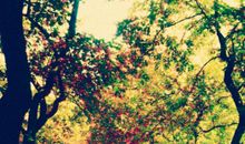 曾一起走过_100字