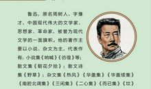 一支笔，一把剑——读《鲁迅小说全集》_2000字