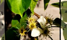 掉泪在雨天里_700字