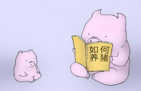 我20年后是一个猪-450字。