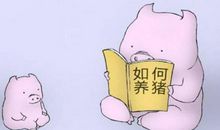 20年后我是养猪的_450字