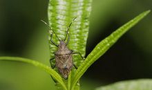 让潮湿的心晴朗起来_900字