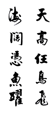 天堂高鸟飞_800字