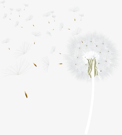 蒲公英给出了1200字