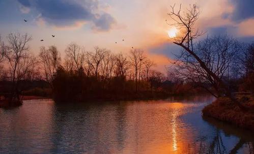 风景上的构图：留在心底的风景_600字
