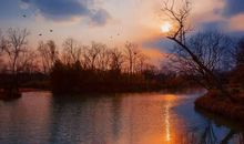 关于景色的作文：留在心底的风景_600字