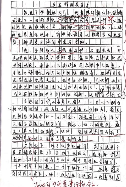 风景上的构图：希望，最美丽的风景_900字